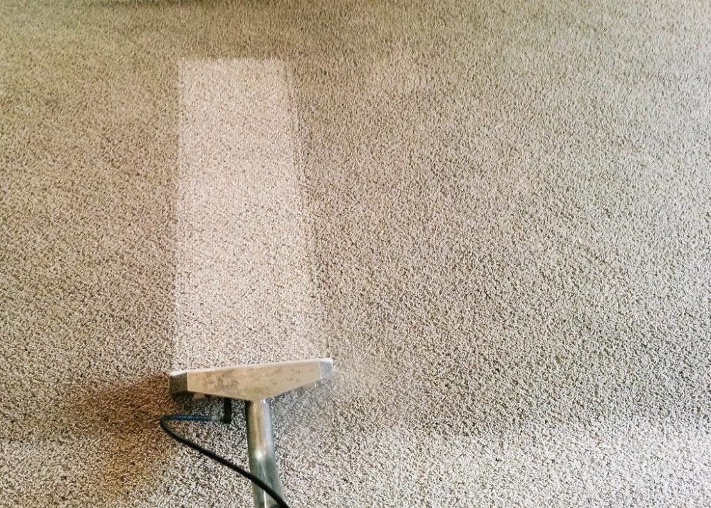 Carpet Cleaning Difference