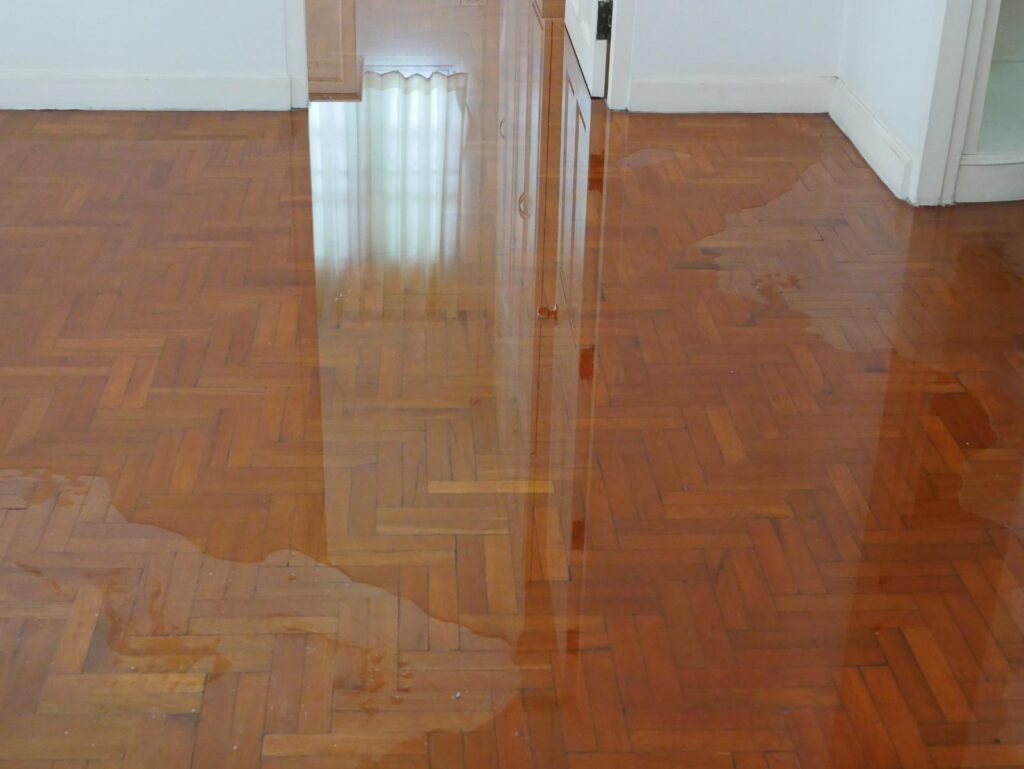 7 Best Flood Cleanup and Restoration Solutions