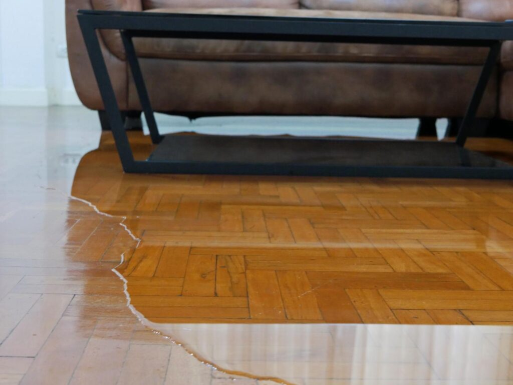 10 Essential Tips for Effective Flood Recovery